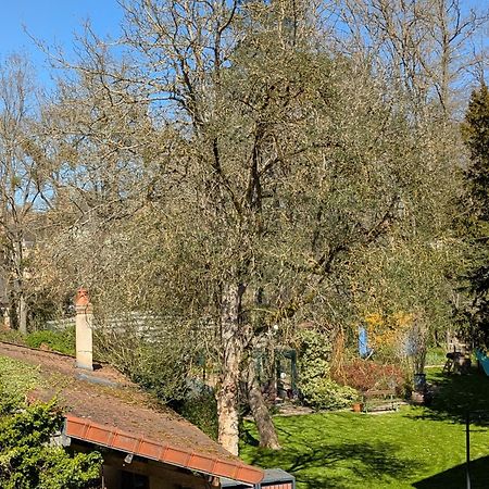 La Maison D'A Cote Saint-Amand-en-Puisaye Extérieur photo